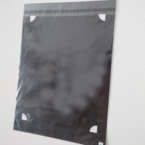 Amazon.co.jp: 送0コードギアス 亡国のアキト ポートレート 複製 シン